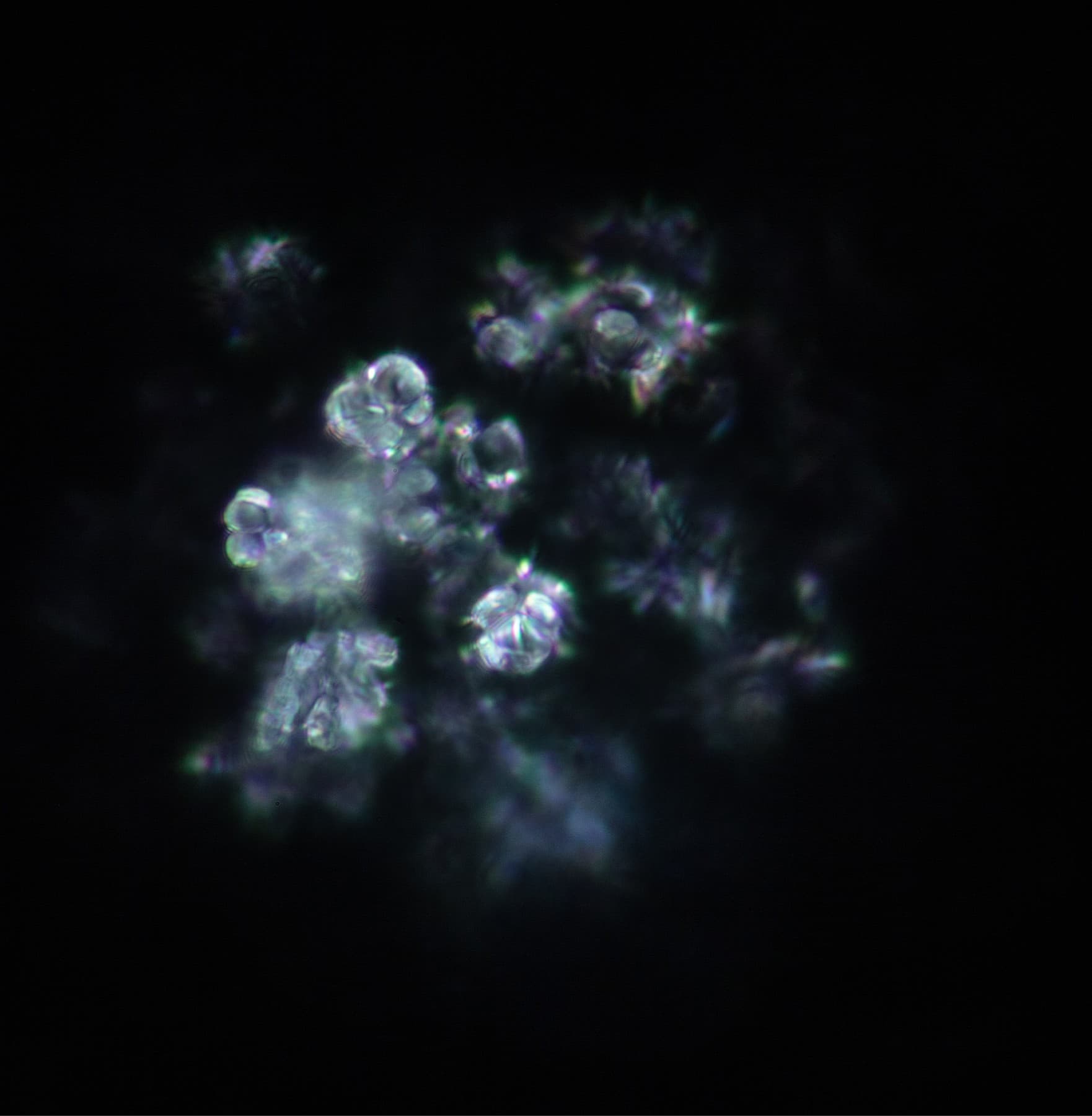 Water Crystal Before