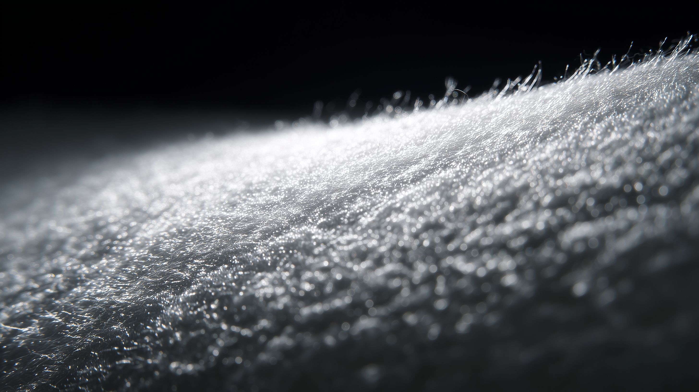 Teamx.Dubai Fabric Filter White. Macro Lens. Dramatic Light. Wa Cb5346ea C62e 4083 984E 012A39df0878