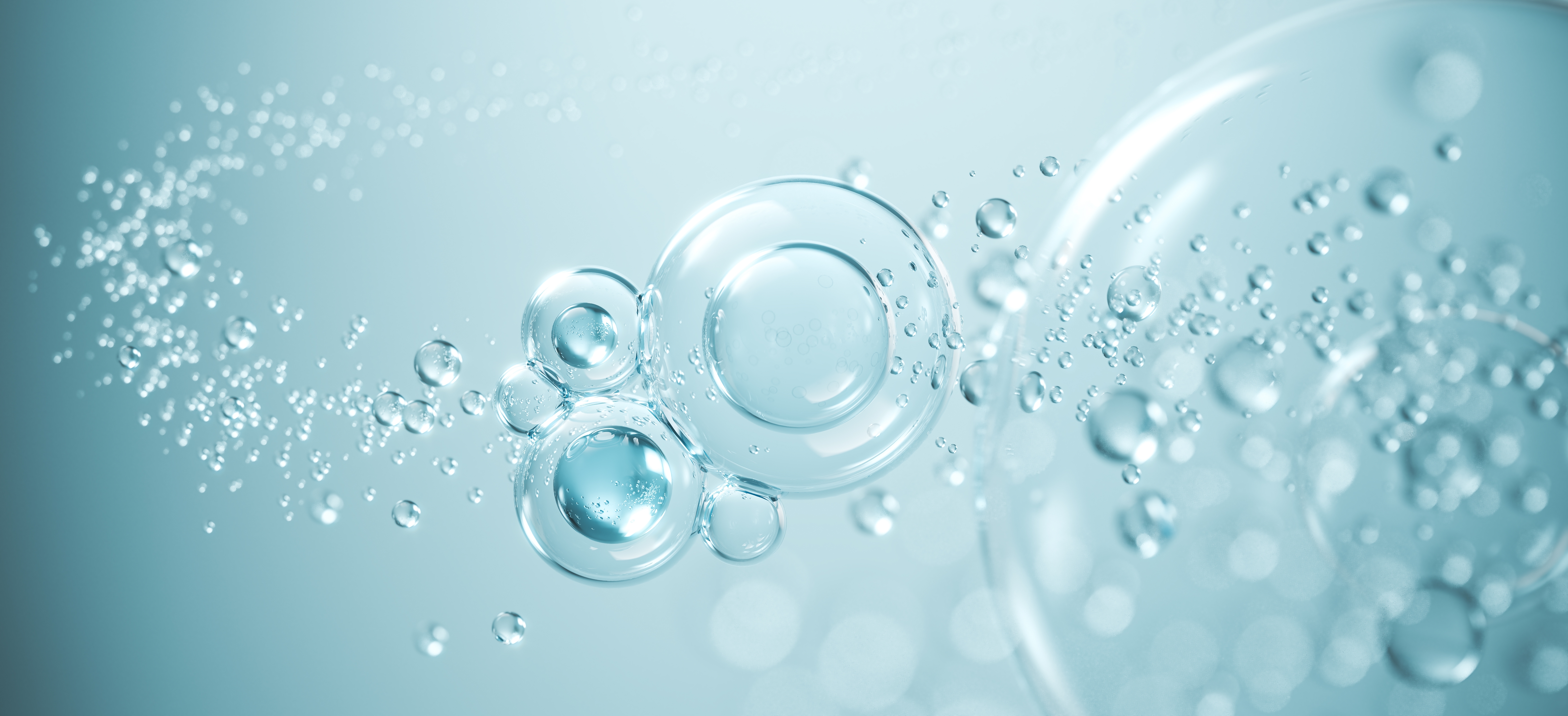 Water – The Basis of All Life